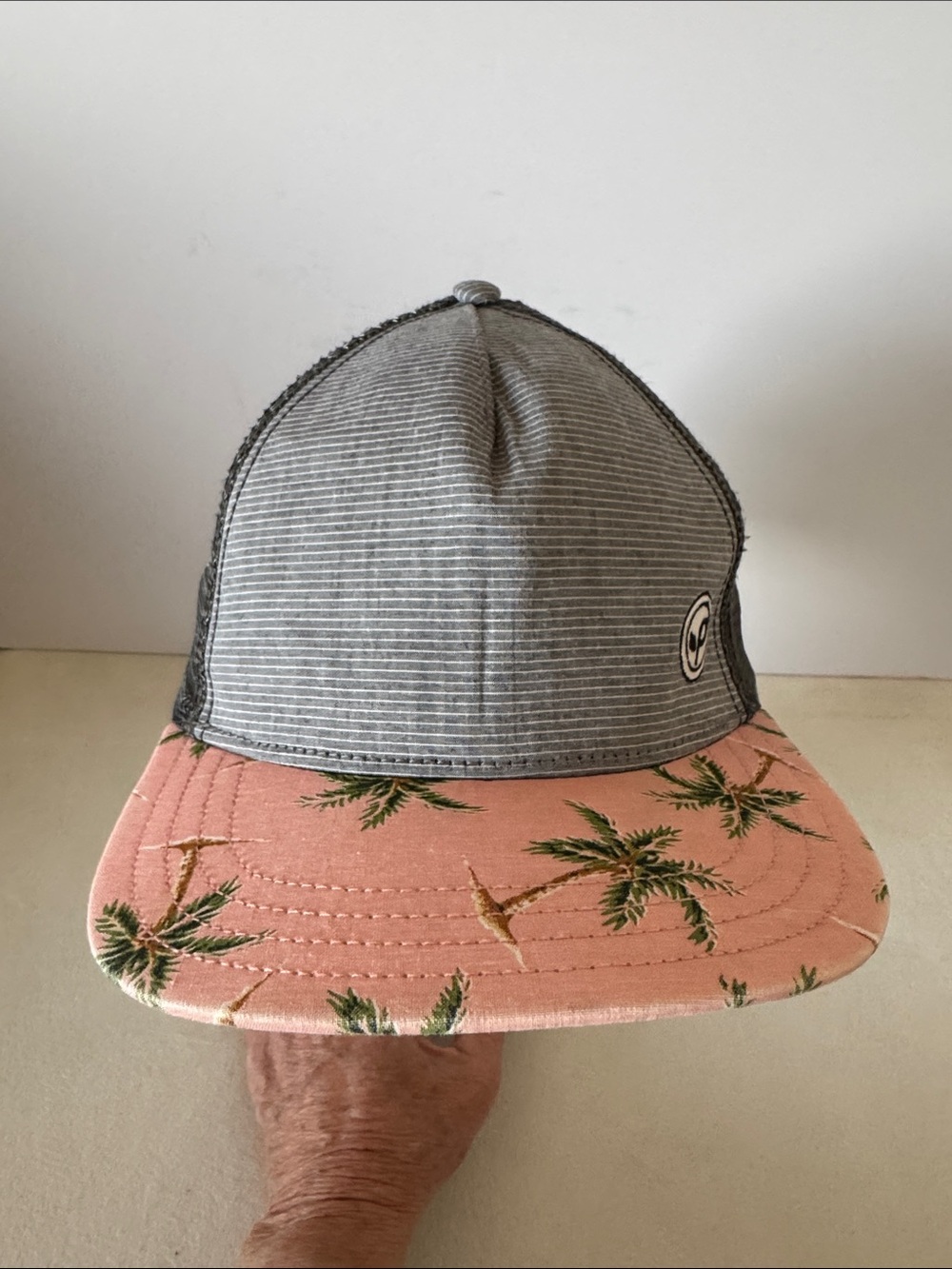 Pistil SnapBack cap